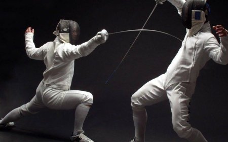 Fencing Market is Estimated to Witness High Growth Owing to Advancements in Smart Fencing Technology