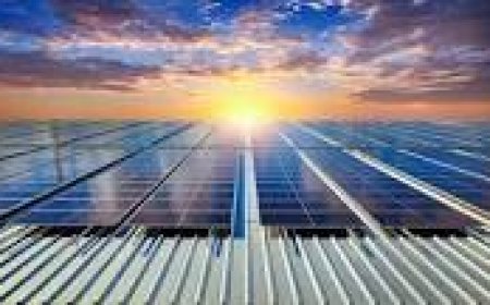 Sparkling Solar Panels: The Importance of Solar Panel Cleaning in Carnegie