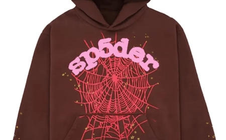 Sp5der Worldwide Web Hoodie Brown