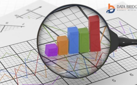 U.S. Outdoor Light-Emitting Diode (LED) Lighting Market Opportunities and Forecast By 2029