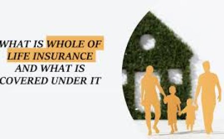 Simple and Affordable Term Life Insurance from Life Insurance