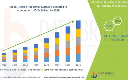 Peptide Antibiotics Market Size, Share, Trends, Demand, Growth and Competitive Outlook