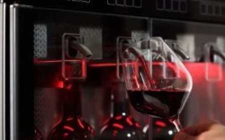 Effortless Entertaining: How a Wine Dispenser Brings Charm to Your Home