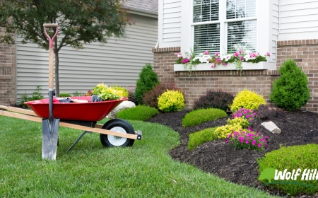 Landscaping in Manassas, VA: Turn Your Yard Into a Personal Sanctuary