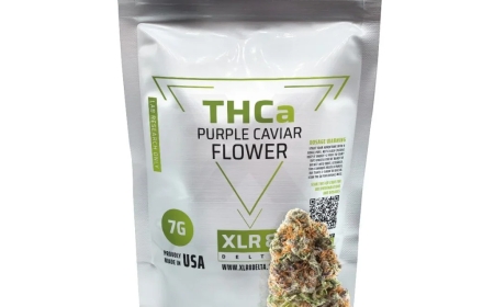 A Buyer’s Guide to Premium THCA Purple Caviar Flower Products