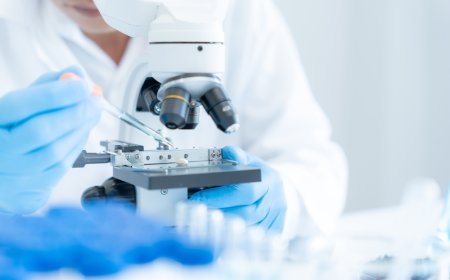 Top Biotech & Pharmaceutical Consulting Firms in USA