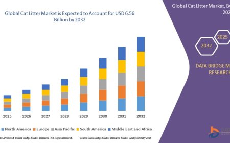Cat Litter Market Revenue Analysis: Growth, Share, Value, Size, and Insights By 2033