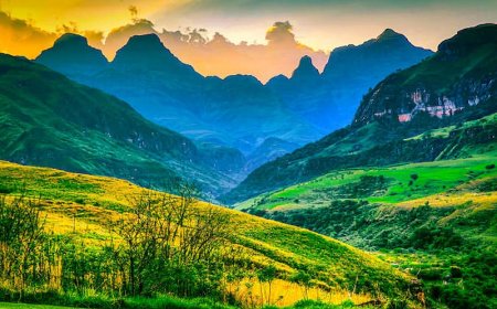 Top 10 Must-Visit Places in South Africa for Every Adventurer