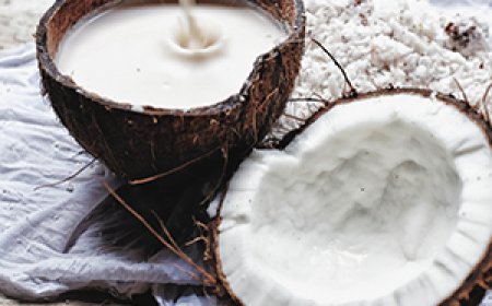 New Zealand Coconut Milk and Cream Market Size, Trends, and Growth Analysis