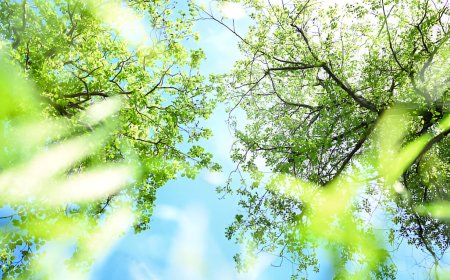 Recycling Basics: The Complete What & Where Guide