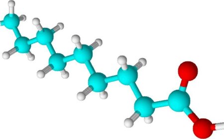 Pelargonic Acid Market Size, Trends, and Growth Strategies Analysis 2025-2032