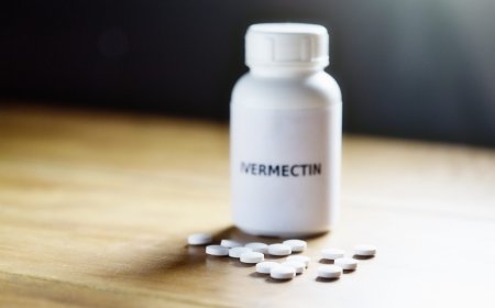 What are ivermectin tablets 12 mg used for?