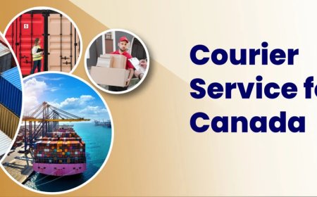 Choosing the right partner for Courier Service for Canada