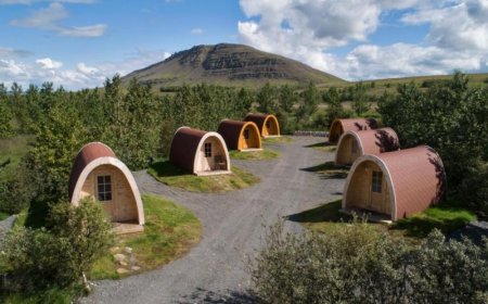 Alternative Accommodation Market: Size, Growth, and Strategic Outlook 2025-2032