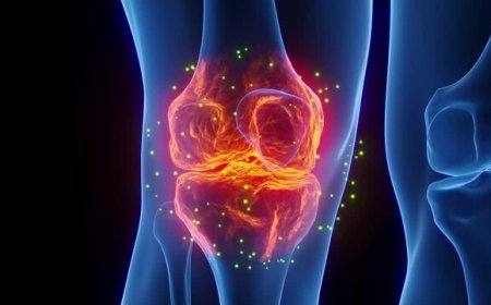 Knee Osteoarthritis Market Size, Growth, and Strategic Outlook 2025-2032