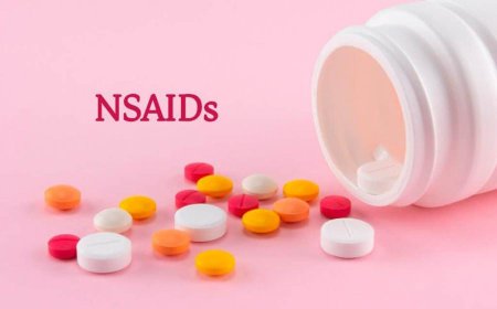 Non-Steroidal Anti-Inflammatory Drugs Market Growth and Industry Dynamics 2025-2032