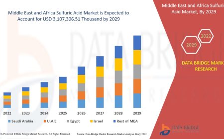 Middle East and Africa Sulfuric Acid Market Scope: Growth, Share, Value, Size, and Analysis By 2035