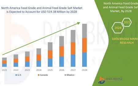 North America Food Grade and Animal Feed Grade Salt Market Demand: Growth, Share, Value, Size, and Insights By 2035