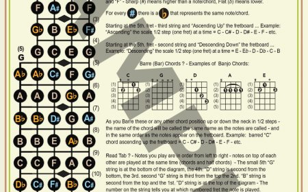 Unlocking the Neck: A Guide to Banjo Fret Notes