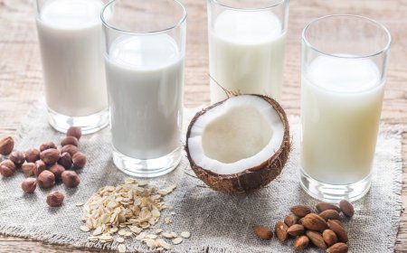 Fortified Dairy Products Market Size, Trends, and Growth Forecast 2025-2032