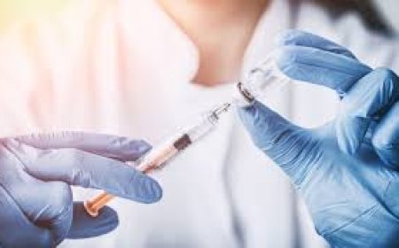 Influenza Vaccines Market: Size, Trends, and Strategic Outlook 2025–2032