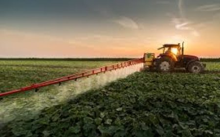 Agricultural Biological Market Size, Trends, and Growth Strategies 2025-2032