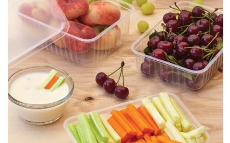 Evolving Dynamics and Growth Prospects of the Food Service Packaging Market