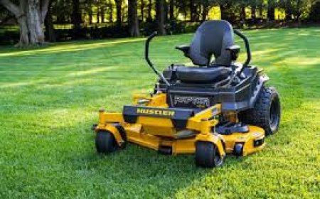 What to Look for When Shopping Lawn Mowers for Sale in Louisiana