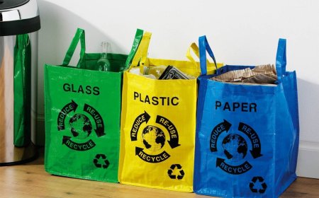 Recycled Paper Bags Market Size, Trends, and Growth Strategies 2025-2032