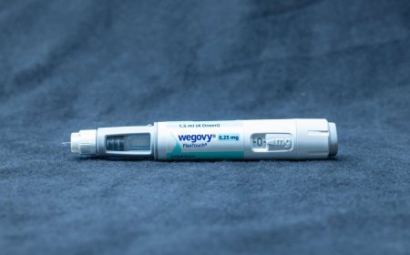 Wegovy Market Size, Growth, and Strategic Outlook 2025-2032