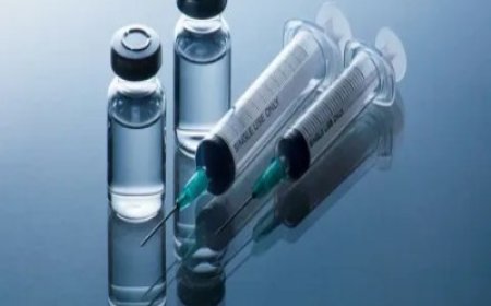 Semaglutide Market Size, Trends, and Growth Outlook 2025-2032