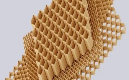 Honeycomb Paper Market Size, Trends, and Growth Strategies (2025–2032)