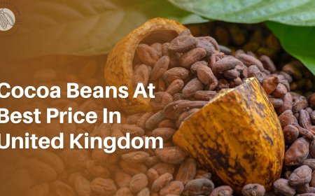 How to Get Cocoa Beans at Best Price in United Kingdom Without Compromising Quality