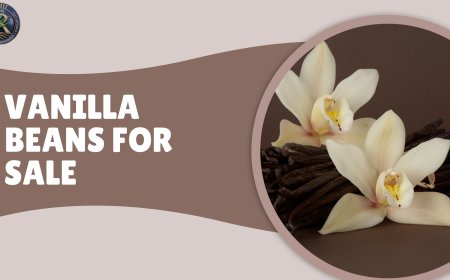 Vanilla Beans for Sale: How to Identify True Gourmet Quality