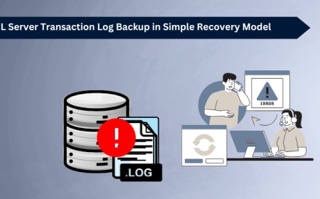 SQL Server Transaction Log Backup in Simple Recovery Model
