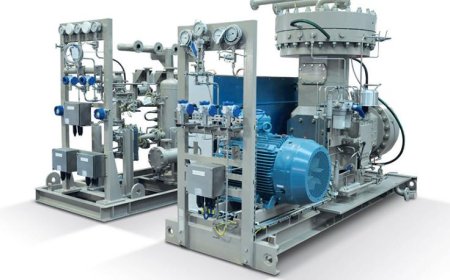 Hydrogen Compressor Market Trends and Growth Strategies 2025-2032
