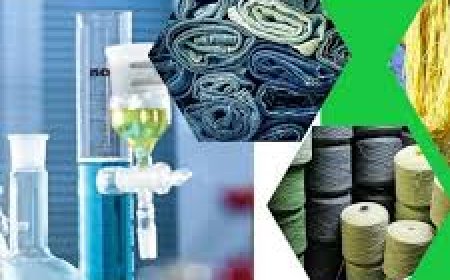 Global Textile Enzymes Market Size, Revenue, and Growth Analysis 2025-2032