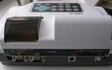 Urometer Market Size, Trends, and Strategic Insights 2025-2032