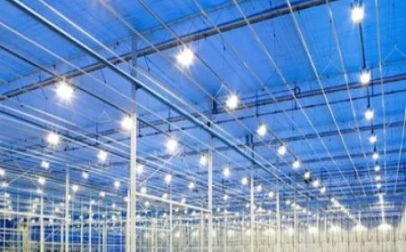 Industrial And Commercial LED Lighting Market Size, Trends, and Strategic Insights 2025-2032
