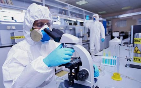 Biodefense Market: Size, Trends, and Strategic Insights to 2032