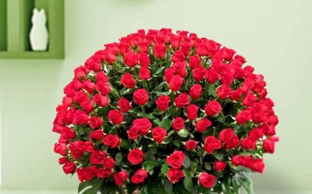 Send Flowers to Delhi Express Emotions with Online Flower Bouquet Delivery