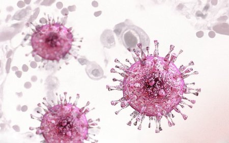 Cytomegalovirus (CMV) Infection Therapeutic Market Size, Trends, and Growth Analysis 2025-2032