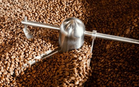 A Closer Look at Light Roasted Coffee Bean