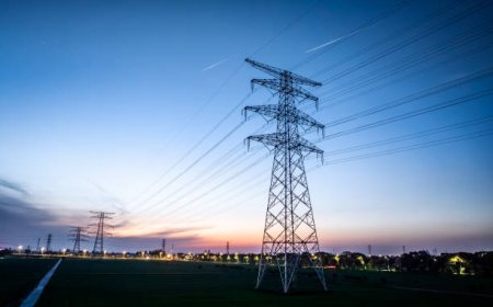 How to Save More on Bills with Sumo or Momentum Energy Plans