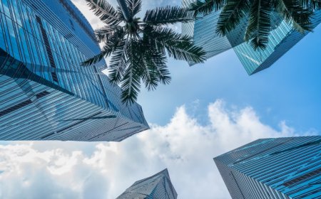 Upcoming Projects in UAE That Will Transform the Tourism Landscape by 2030