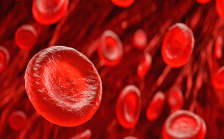 Alpha Thalassemia Market Growth, Trends, and Strategic Outlook 2025-2032