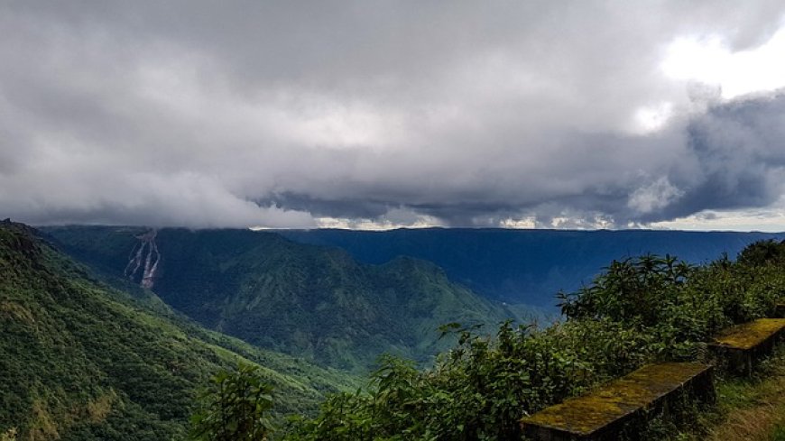 Exploring Nature's Symphony: Bird Watching in Meghalaya’s Enchanting Hills