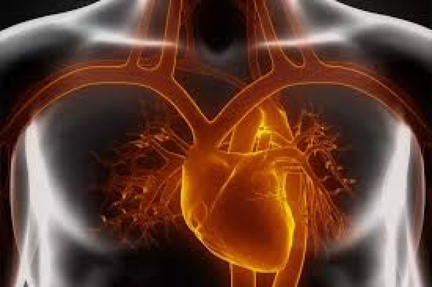Global Cardiac Amyloidosis Market Size, Trends, and Growth Analysis 2025-2032